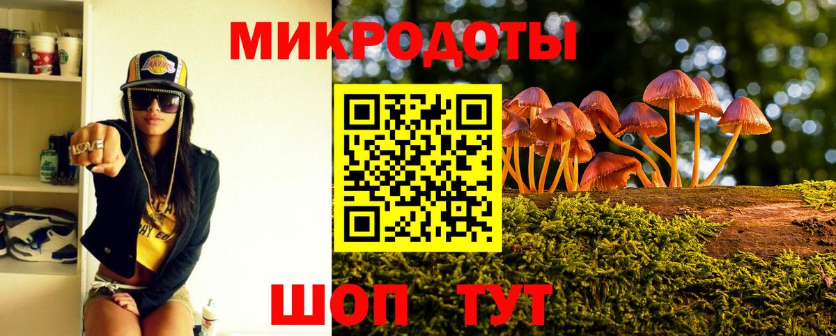 Галлюциногенные грибы Psilocybine cubensis Барнаул